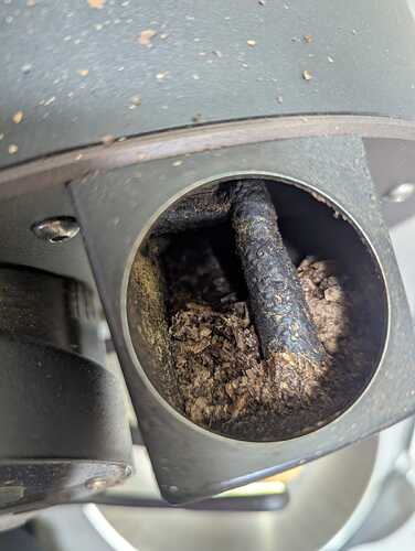 WhatsApp Image 2026-03-30 at 12.46.21 (2)